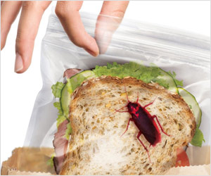 lunch bags with printed bugs