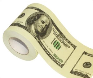 toilet paper roll with dollar money bill printed