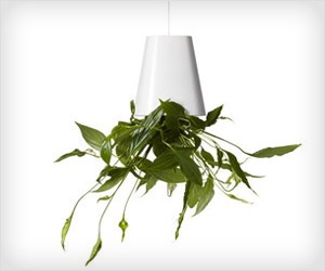 vertical plants hanging from ceiling