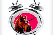 alarm clock with animal sound of horse, rooster, cat, pig