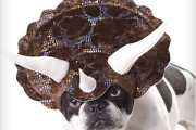 Dog dinosaur head gear costume