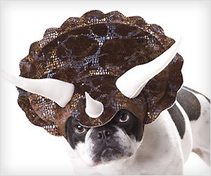 Dinosaur Dog Costume