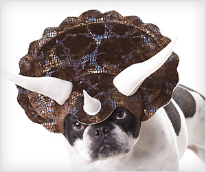 Dog dinosaur head gear costume