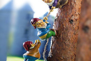Cute small Gnomes guys climbing tree in garden