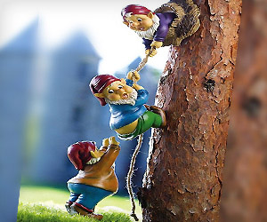 Cute small Gnomes guys climbing tree in garden