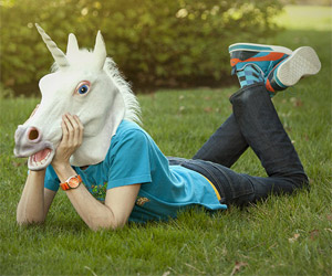 Unicorn Horse head mask