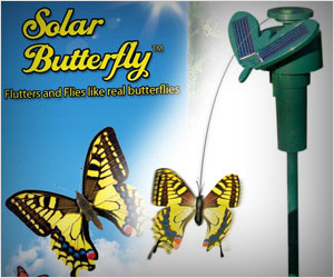 butterfly powered by sunlight