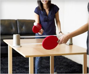 ping pong table game for home and office