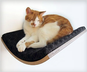 floating pet cat bed with wall mounting feature