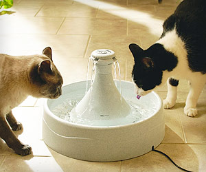 flowing water fountain for pet cats and small dogs