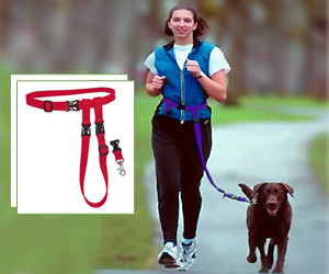 hands free dog leash buddy system for running along