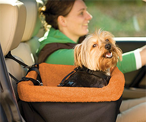 pet dog car seat in high padded seating