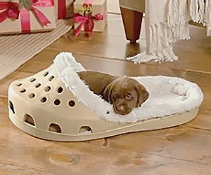 Shoe shape Pet bed for cats & dogs