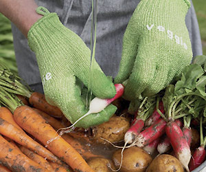 Scrub vegetables quickly with special scrubbing gloves